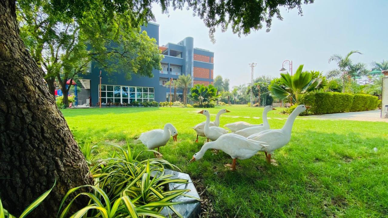 Krishna Riverside Resort Vasad Exterior photo